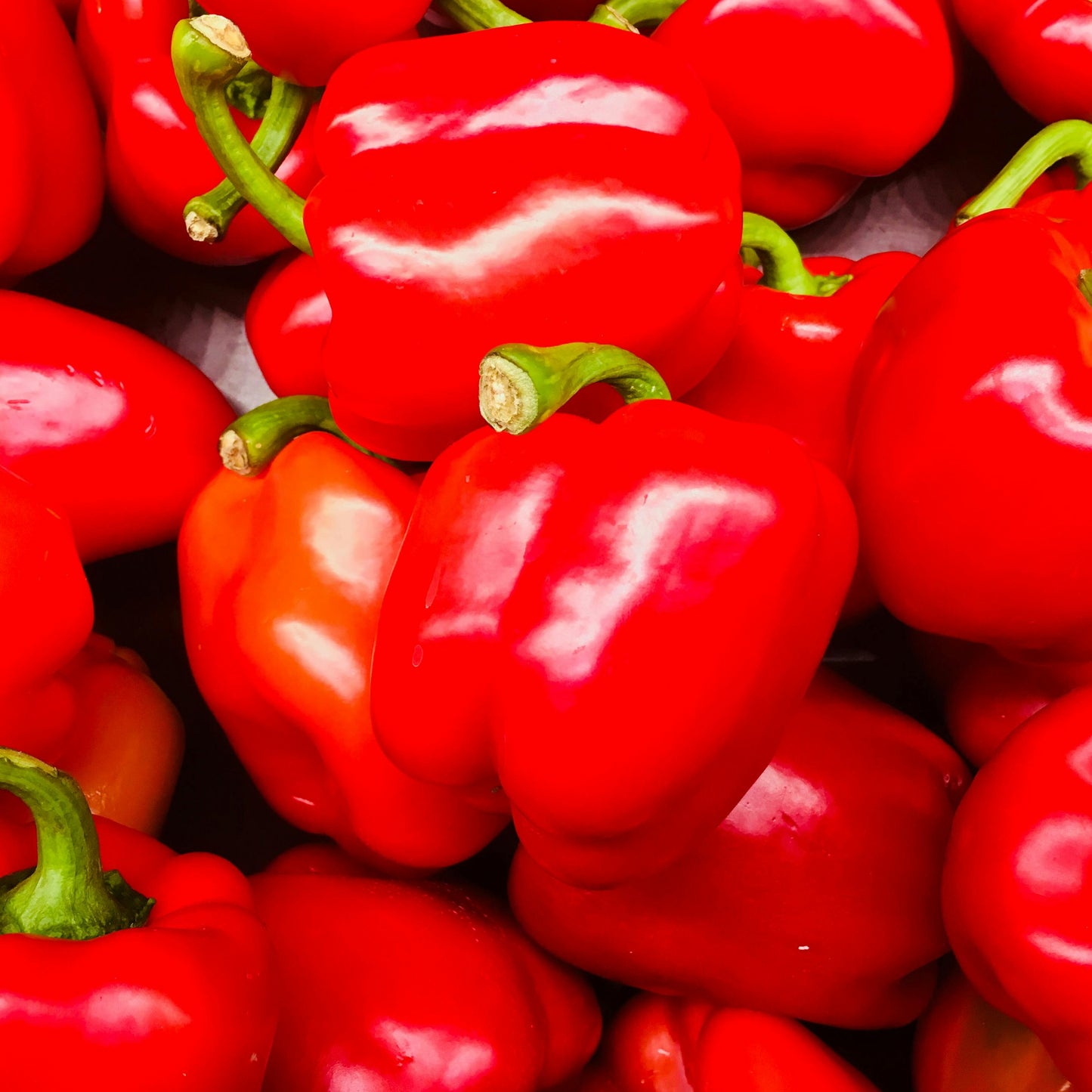 Red Bell Pepper